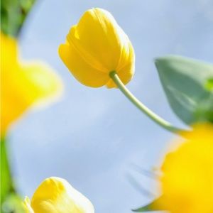 Meet your Posher, 🌛